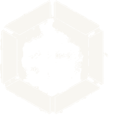 Octagon logo
